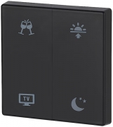 Kryt RF tlačítka 55x55mm s potiskem (Večeře. TV. Ráno. Večer) Jet černá matná | CWIZ-02/d9